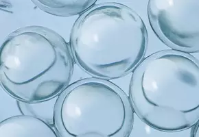 Paraben Free