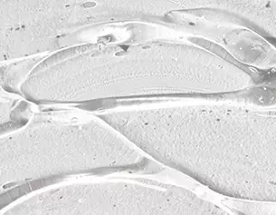 0.3% LHA (Caproloyl Salicylic Acid)