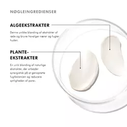 Nøgleingredienser